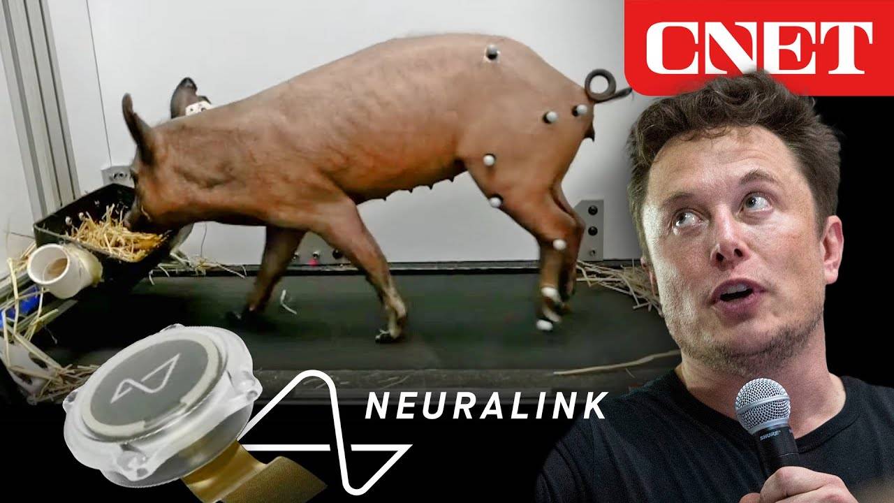 Elon Musk’s Neuralink Is Trying To Reanimate the Body
